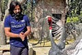 Rozprávkový príbeh indického muža: Zachránil zraneného vtáka, ten sa mu odvďačil krásnym spôsobom