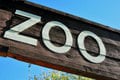 Košická Zoo získala mimoriadne vzácny prírastok: Uvidíte tam tieto kriticky ohrozené živočíchy!