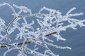 Zima ešte definitívne neodišla: Meteorológovia upozorňujú na prízemný mráz, môže poškodiť vegetáciu