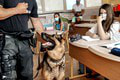 Policajt Vincent miluje psy aj činky: Stráži zákon a zbiera medaily! Čo je na jeho práci najzaujímavejšie?