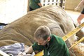 Nosorožec u zubára? Pri náročnej prehliadke asistovali dva tucty ošetrovateľov! Unikátne zábery