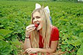 Na Slovensku sa začali samozbery obľúbeného ovocia: Kde si nazbierate najlacnejšie jahody?