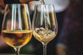 Slovenské vína očarili expertov, získali 123 medailí: Lahodné nápoje môžete vyskúšať aj vy