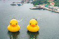 Čo to pláva v hongkongskom prístave? Obyvatelia zostali v poriadnom šoku: Je to obrovské!