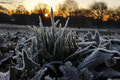 Meteorológovia vydali nezvyčajnú výstrahu: Toto snáď v júni ani nie je možné!