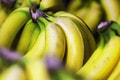 Colníci si mohli oči vyočiť, keď zbadali, čo sa skrýva medzi banánmi: Také niečo odhalia len výnimočne