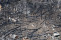 Požiar v Českom Švajčiarsku za sebou zanechal spúšť: Naši susedia sa chcú pripraviť na najhoršie