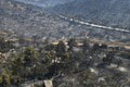 Situácia v Grécku je vážna: Hasiči stratili kontrolu nad požiarom! Evakuovať museli ďalších ľudí