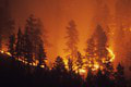 Obľúbené dovolenkové destinácie sužujú plamene: Požiar sa rýchlo šíri! Stovky ľudí evakuovali
