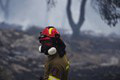 Grécko horí už viac, než dva týždne: Zvládajú hasiči nápor neutíchajúcich požiarov? Takáto je situácia!