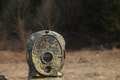 Fotopasca na strednom Slovensku zachytila skutočnú raritu: Nad tou fotkou krútili hlavami aj odborníci!