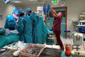 Skvelý výkon: Naši chirurgovia vyoperovali nádor veľkosti rugbyovej lopty! Aha, kde ho pacient mal