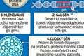 Obrovský úspech v medicíne: Muž mal v tele prasaciu obličku neskutočných 61 dní!