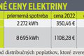 Ódor o nových cenách energií: Prehľad toho, koľko zaplatíme za elektrinu v roku 2024!