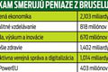 Slovensko má za sebou niekoľko úspešných miľníkov: Splní sa vďaka tomu cieľ úradníckej vlády?