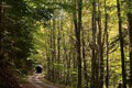 Storočná technická pamiatka ukrytá v horehronských lesoch: Počuli ste o Kelemenovom tuneli? Jeho výnimočnosť vás prekvapí