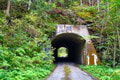 Storočná technická pamiatka ukrytá v horehronských lesoch: Počuli ste o Kelemenovom tuneli? Jeho výnimočnosť vás prekvapí