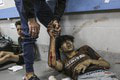 Brutálny masaker v Gaze má vyše 500 obetí: Video má dokazovať, kto na nemocnicu zaútočil