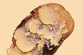 Spôsob, akým si natierate maslo na chlieb, odhaľuje vašu osobnosť: Zistite, čo to o vás prezrádza!