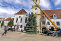 Hlavné mesto sa už chystá na Vianoce: Stromček im môže každý závidieť! Aha, akého velikána im priviezli