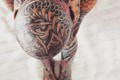 Julia je závislá na tetovaniach: Ozdobená je aj TAM! Valí sa na ňu brutálna kritika