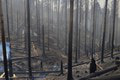 Po ničivom požiari v národnom parku súd podal obžalobu: Zarážajúce, kto spôsobil obrovské škody!