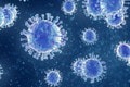 V krajine zaznamenali prvý prípad smrteľného vírusu! Odborníci sú na nohách