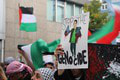 Tisícky Nemcov protestovali za práva Palestínčanov: Demonštrácie spôsobujú veľkú polemiku