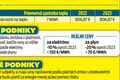 Saková ohlásila ceny za energie na rok 2024! Analytik reaguje: Čo hovorí na pomoc vlády?