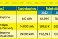 Saková ohlásila ceny za energie na rok 2024! Analytik reaguje: Čo hovorí na pomoc vlády?