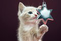 Vianoce sú nebezpečné pre vašu mačku: Ak spraví toto, hrozí to najhoršie!