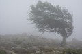 Energetická kalamita na strednom Slovensku! Najväčšie trápenie zažívajú v týchto krajoch