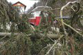 Víchrica narobila v Košiciach totálnu spúšť: Polámané stromy a zničené autá! Desivé FOTO