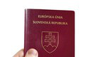 Rebríček najsilnejších cestovných pasov: Bez víz môžeme navštíviť desiatky krajín! Predbehli sme Čechov?