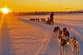 Emma a Marcel žijú svoj sen v Laponsku: So psíkmi pod polárnou žiarou! TOTO ich v krajine šokovalo