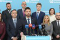 Progresívne Slovensko predstavilo kandidátku do eurovolieb: Má ambíciu ich vyhrať