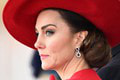 Najnovší záber princeznej Kate rozvírili vlnu pochybností: Vidíte ten DETAIL?!