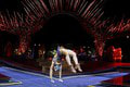 Lucie zo Cirque du Soleil pokorila Guinnessov REKORD! Padne vám sánka, čo dokázala