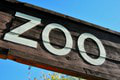 Hrôza v kontaktnej zoo: Školák holými rukami zabil 11 zvierat!