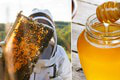 Perfektný úspech našich včelárov: Slovenský med je najkvalitnejší na svete!