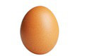 Veľký prehľad vajec rovno pre vás: Ktoré okrem slepačích sa dajú jesť a na čo dávať pozor?