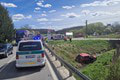 Vážna dopravná nehoda pri obci Svinná! Auto skončilo v potoku: Hrôzostrašné FOTO