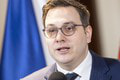 Na stole je otázka o pomoci Ukrajine: Český minister žiada krajiny NATO o poskytnutie...