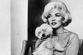 Šaty Marilyn Monroe vydražili za státisíce eur: Uf, z tej sumy sa vám zatočí hlava!