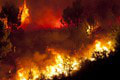 Grécko opäť v plameňoch! Úrady nariadili evakuáciu: Požiar sa nedarí skrotiť