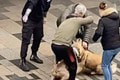 Muž začal zbesilo mlátiť psíka na ulici: Dôvod vás šokuje! Celé je to inak, ako sa môže javiť