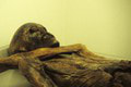 Odhalenie o legendárnom Ötzim: Ľadový muž sa zdobil spôsobom, ktorý poznáme aj dnes!