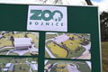 Bojnická zoo sa rozšírila o dvojicu roztomilých samčekov, pohľad na nich vám spraví deň: Toto je Fafa a Enitan!