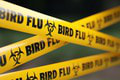 21-ročný študent zomrel na vtáčiu chrípku: Hrozí mutácia a PANDÉMIA?! Vážne obavy