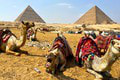 3 TOP tipy na dovolenku v Egypte!